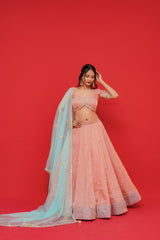 Pure tissue silk Lehenga blouse with  Organza Dupatta  Kachi gottapati work