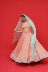 Pure tissue silk Lehenga blouse with  Organza Dupatta  Kachi gottapati work