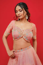 Pure tissue silk Lehenga blouse with  Organza Dupatta  Kachi gottapati work