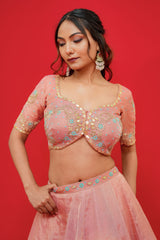 Pure tissue silk Lehenga blouse with  Organza Dupatta  Kachi gottapati work