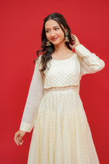 Anar kali  Pure mul chanderi  With hand embroidery