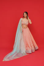 Pure tissue silk Lehenga blouse with  Organza Dupatta  Kachi gottapati work