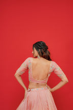 Pure tissue silk Lehenga blouse with  Organza Dupatta  Kachi gottapati work