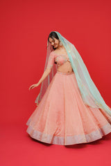 Pure tissue silk Lehenga blouse with  Organza Dupatta  Kachi gottapati work