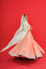 Pure tissue silk Lehenga blouse with  Organza Dupatta  Kachi gottapati work