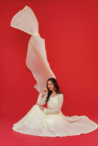 Anar kali  Pure mul chanderi  With hand embroidery