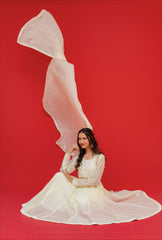 Anar kali  Pure mul chanderi  With hand embroidery