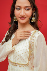 Anar kali  Pure mul chanderi  With hand embroidery