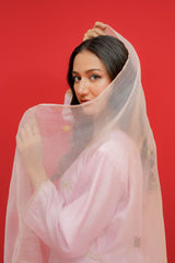 Chiniya silk   Organza DupattaHand Embroidery