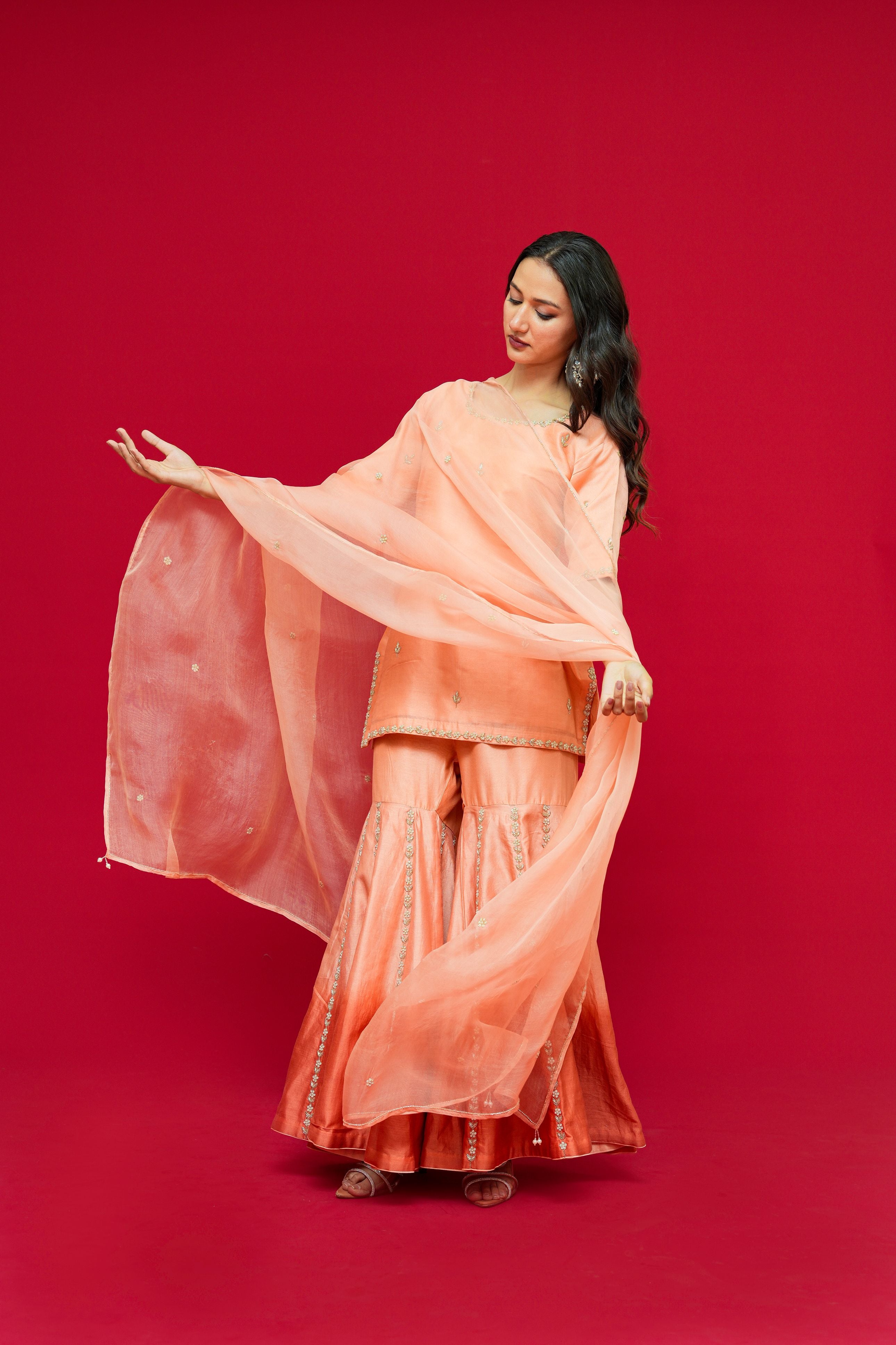Pure  Chanderi silk  Dupatta  Organza
