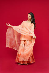 Pure  Chanderi silk  Dupatta  Organza