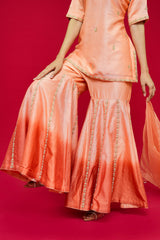 Pure  Chanderi silk  Dupatta  Organza