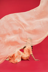 Pure  Chanderi silk  Dupatta  Organza