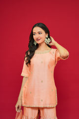 Pure  Chanderi silk  Dupatta  Organza
