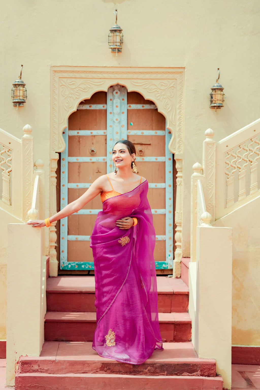 Organza Noor Hand-Embroidered Saree Set