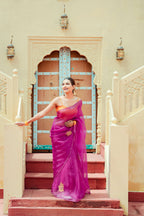 Organza Noor Hand-Embroidered Saree Set