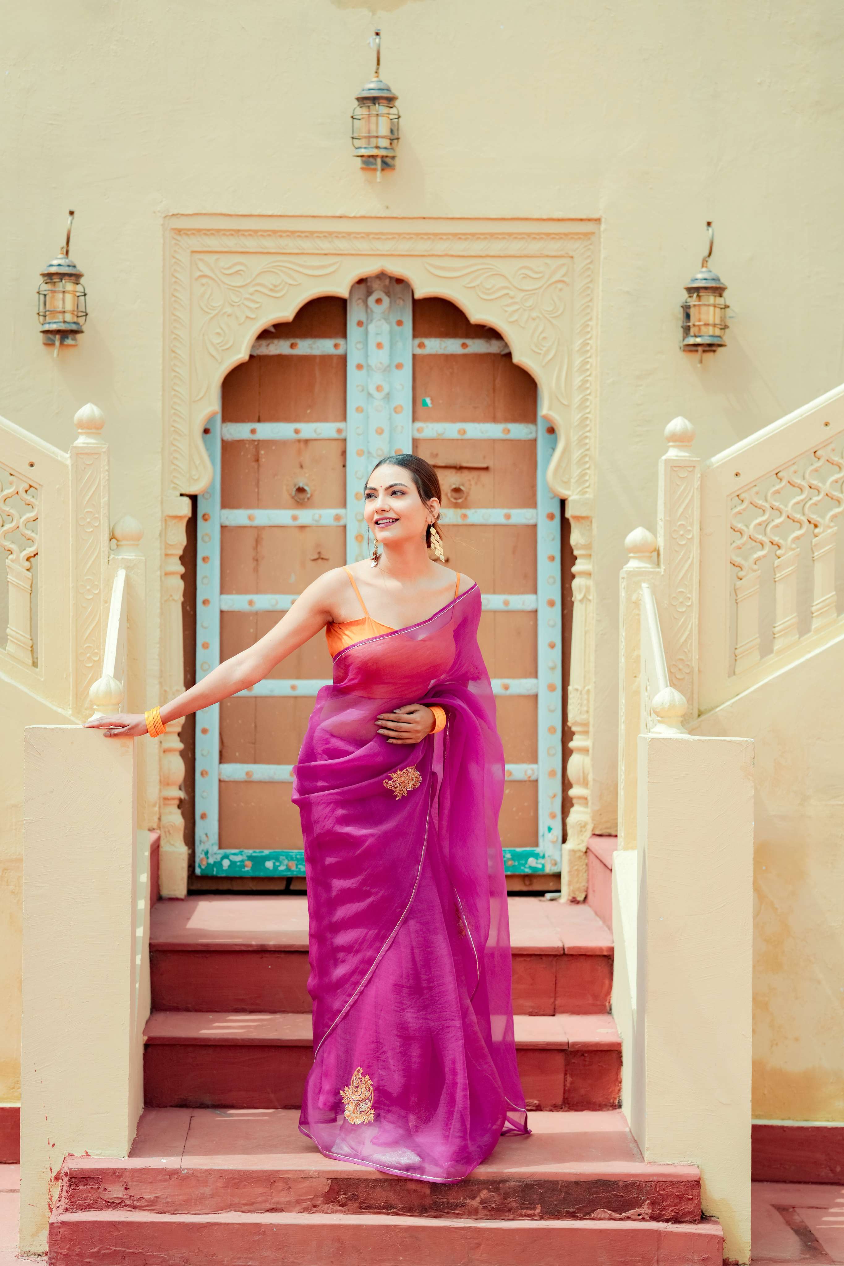 Organza Noor Hand-Embroidered Saree Set