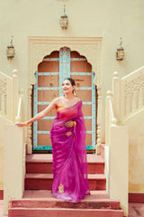 Organza Noor Hand-Embroidered Saree Set