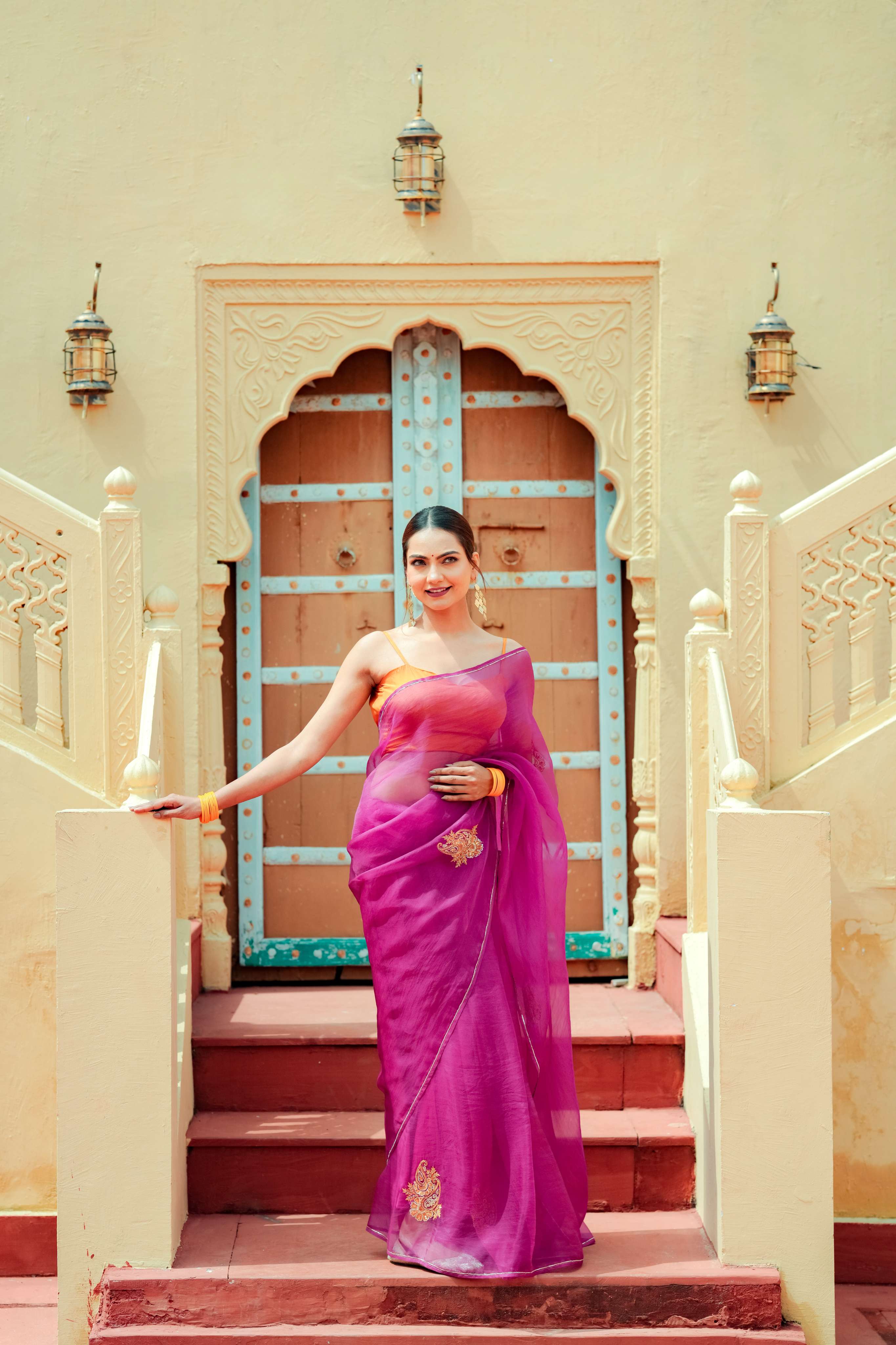 Organza Noor Hand-Embroidered Saree Set