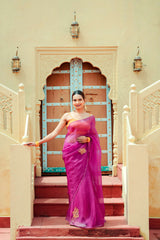 Organza Noor Hand-Embroidered Saree Set