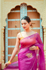 Organza Noor Hand-Embroidered Saree Set