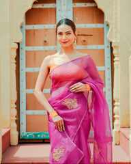 Organza Noor Hand-Embroidered Saree Set