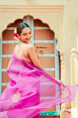 Organza Noor Hand-Embroidered Saree Set