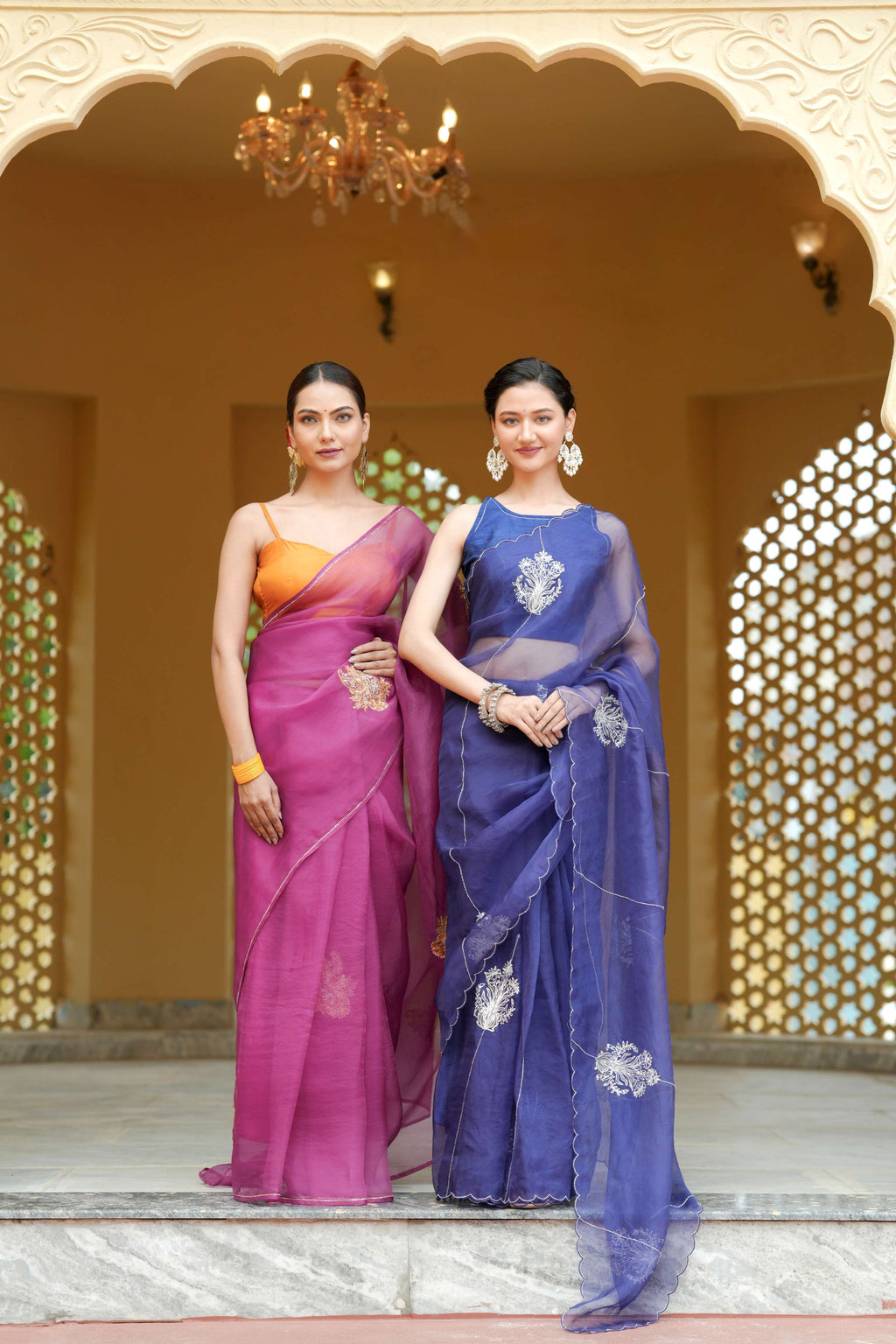Organza Noor Hand-Embroidered Saree Set