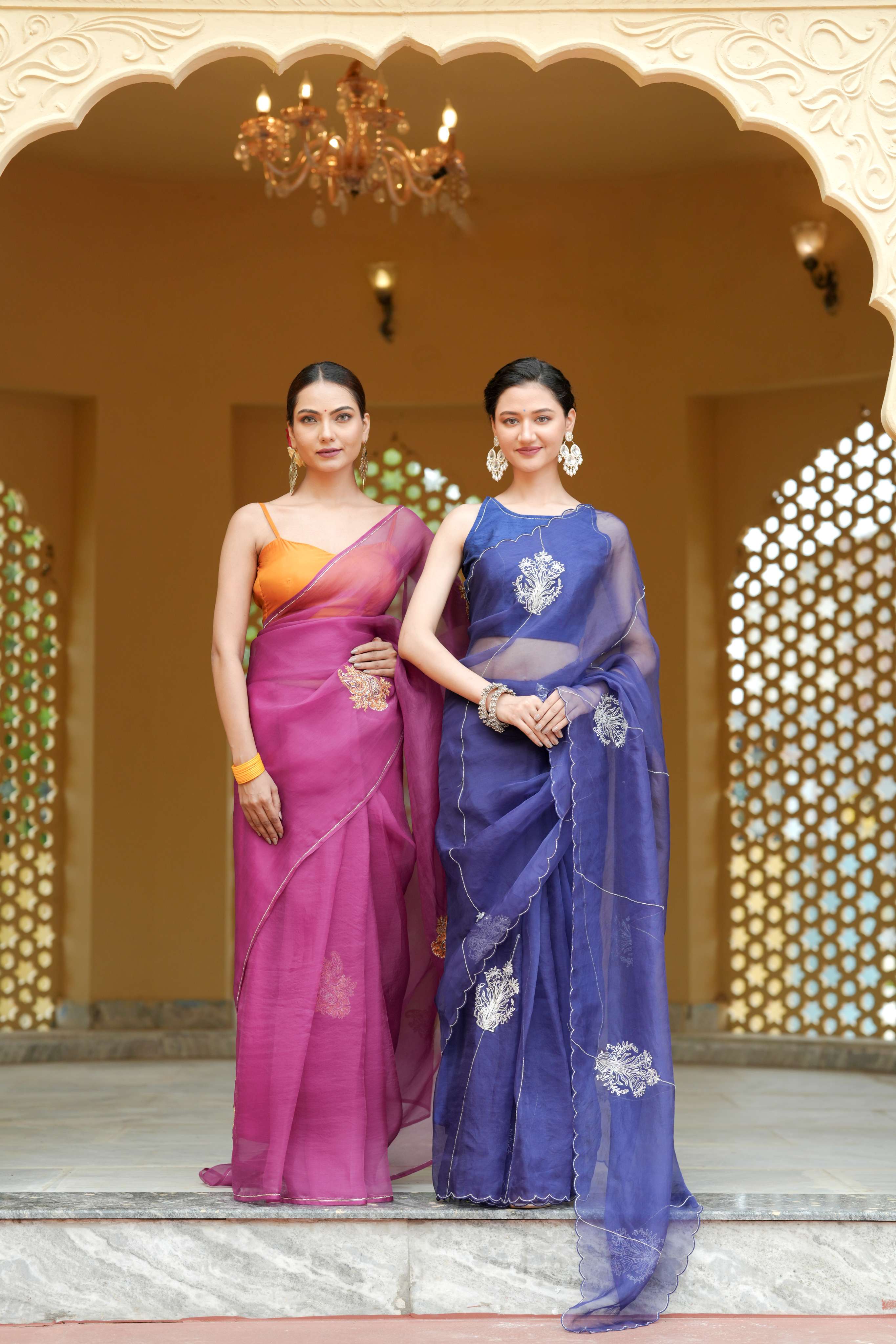Organza Noor Hand-Embroidered Saree Set