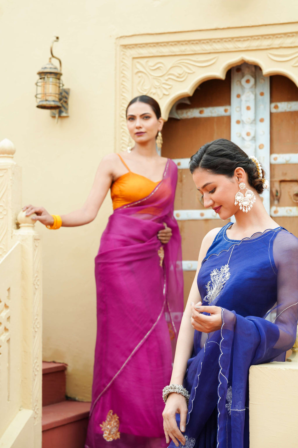 Organza Noor Hand-Embroidered Saree Set