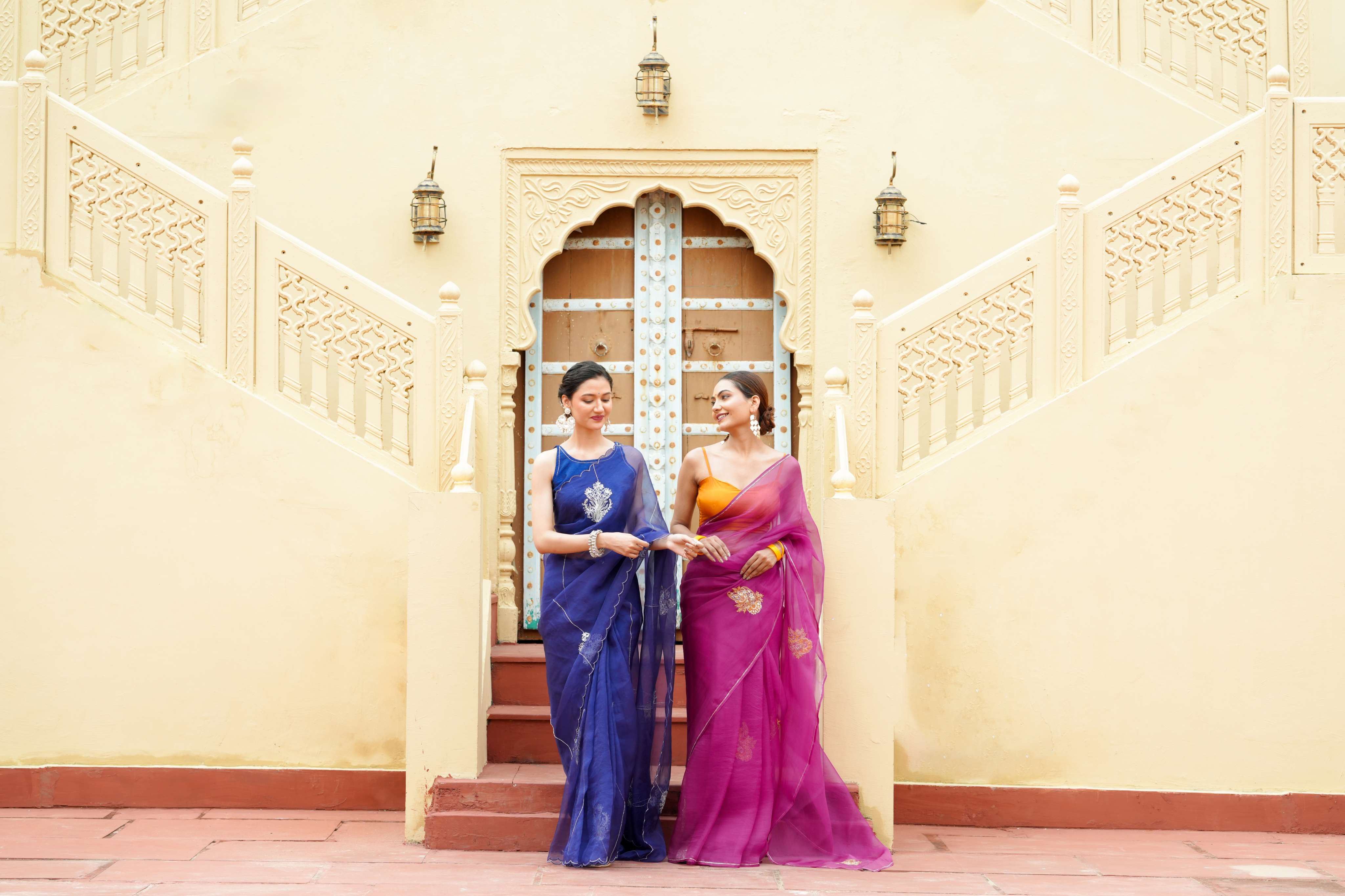 Organza Noor Hand-Embroidered Saree Set