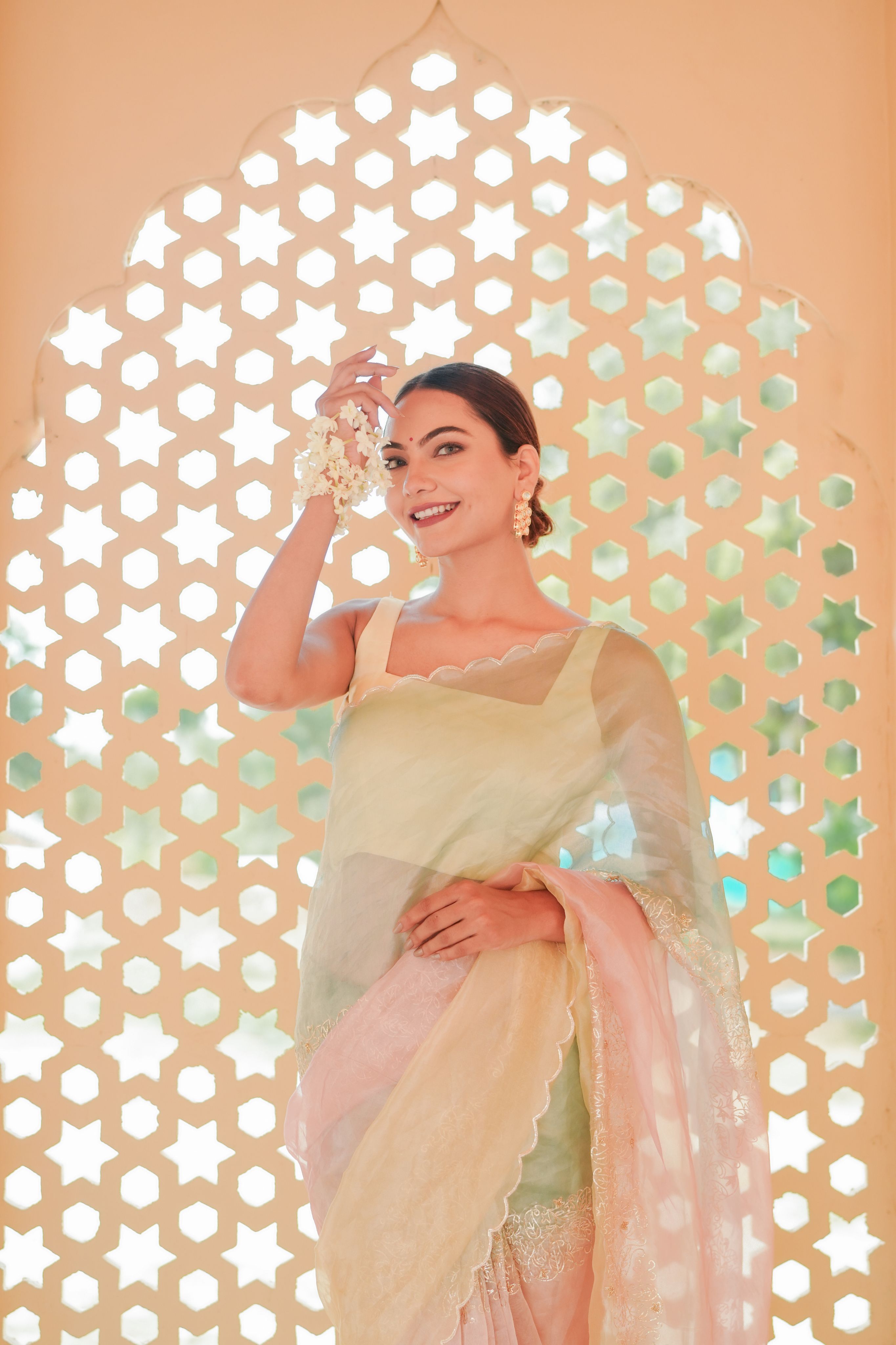 Pure Tissue Pastel Grace Saree Set