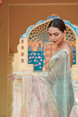 Pure Tissue Pastel Grace Saree Set