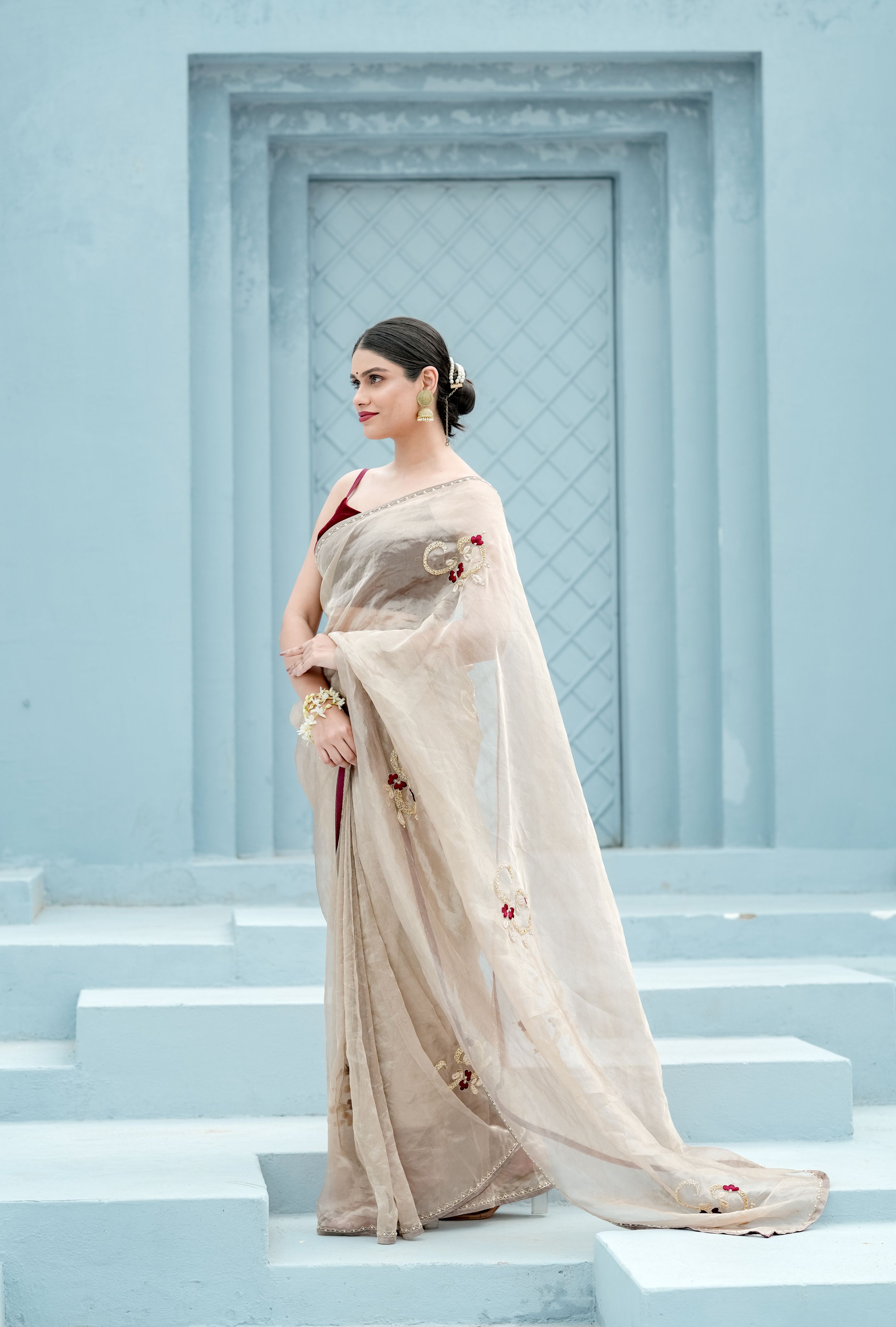 Pure Tissue saree velvet blouse