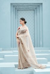 Pure Tissue saree velvet blouse