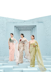 Pure Tissue saree velvet blouse