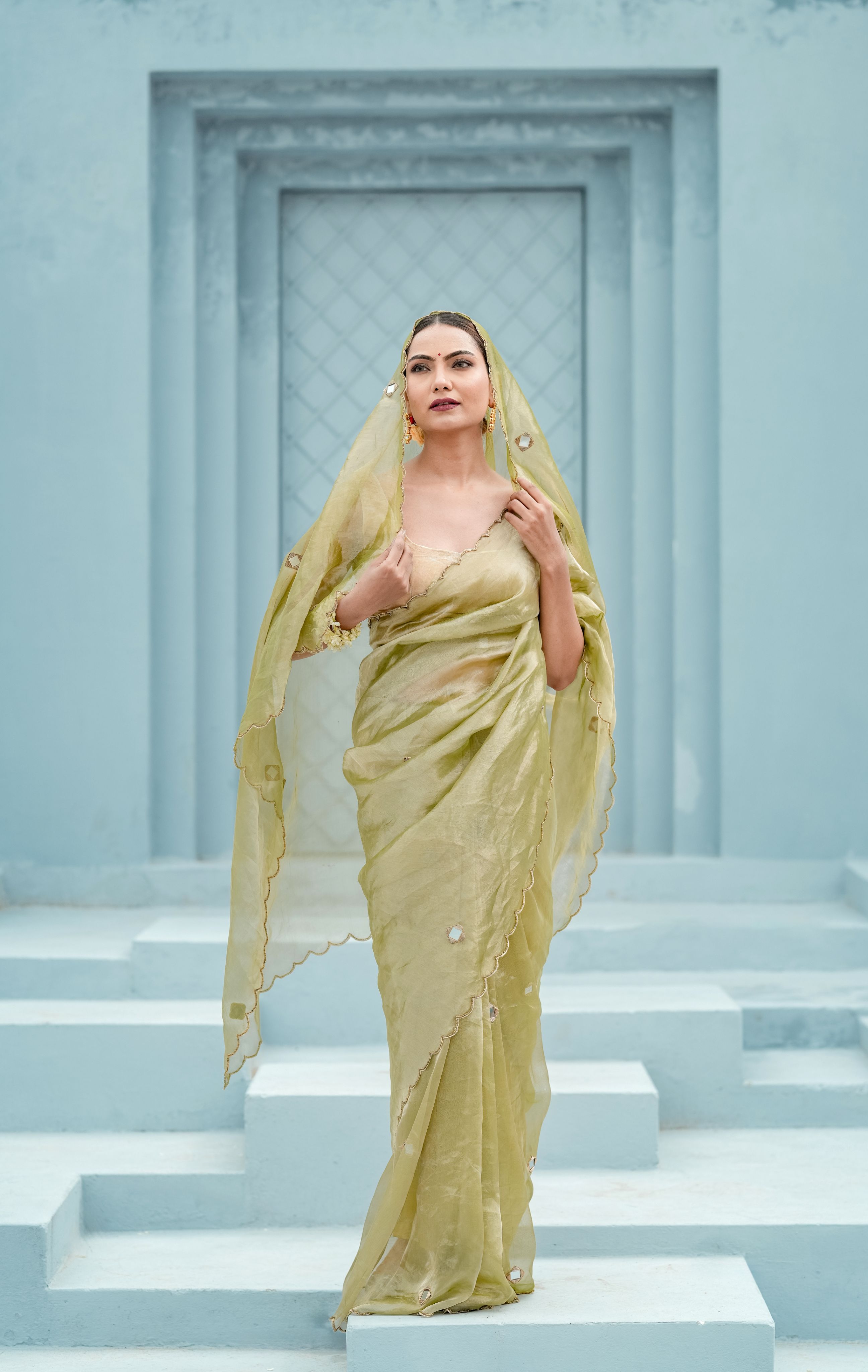 Pure tissue saree with mirror Dabka work with blouse