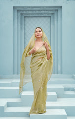 Pure tissue saree with mirror Dabka work with blouse