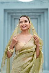 Pure tissue saree with mirror Dabka work with blouse