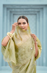 Pure tissue saree with mirror Dabka work with blouse