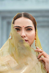 Pure tissue saree with mirror Dabka work with blouse