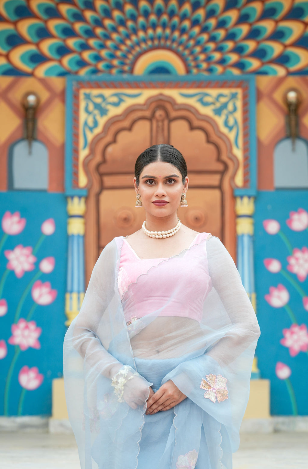 Pure orgnza saree with sequence motifs with hand Embrodiray velvet blouse
