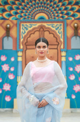 Pure orgnza saree with sequence motifs with hand Embrodiray velvet blouse