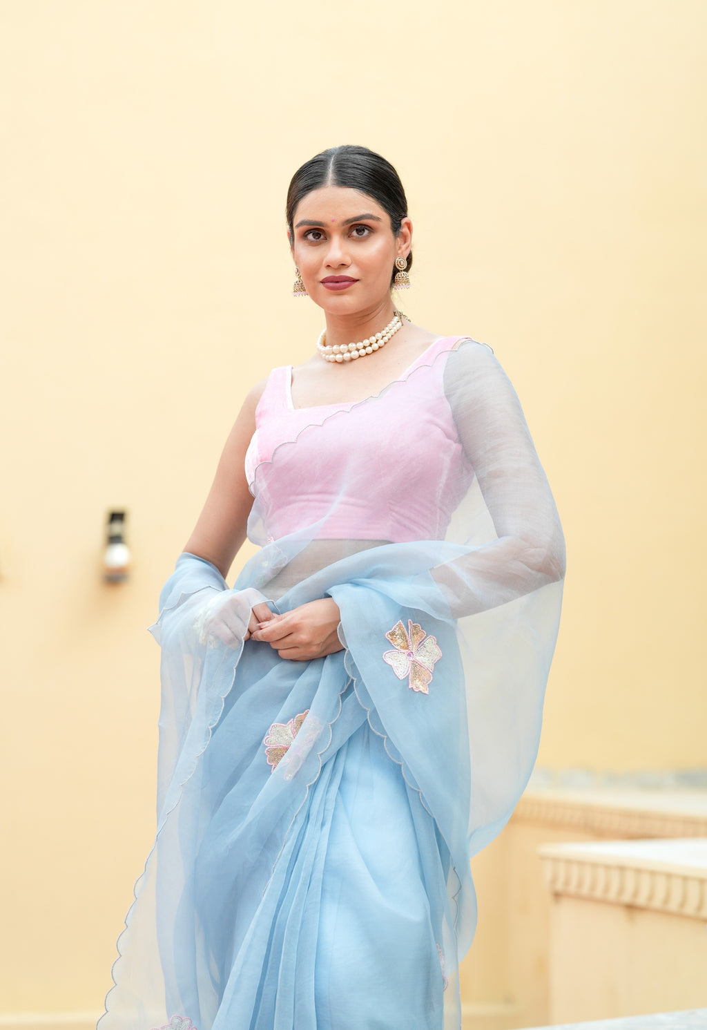 Pure orgnza saree with sequence motifs with hand Embrodiray velvet blouse