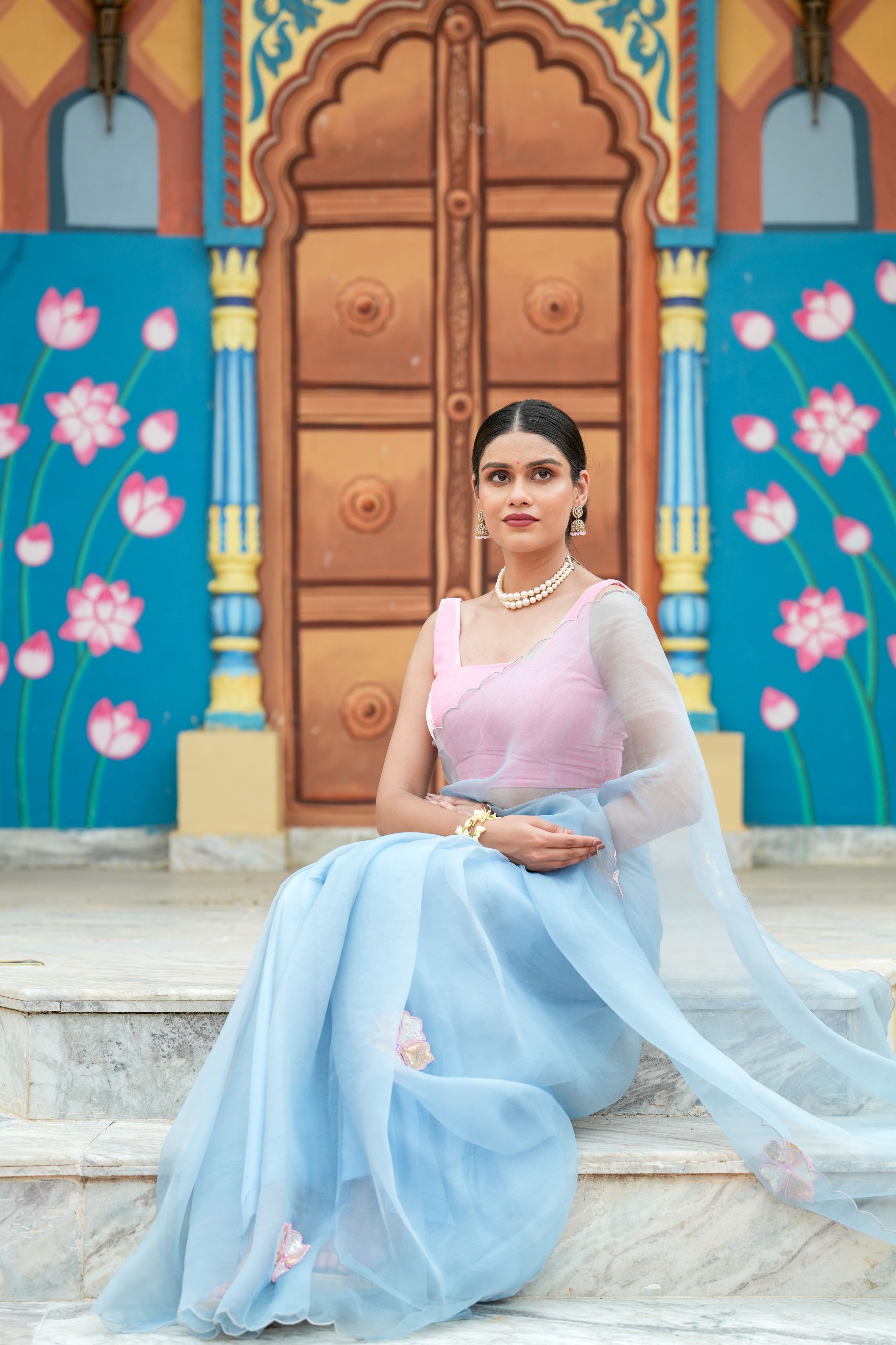 Pure orgnza saree with sequence motifs with hand Embrodiray velvet blouse