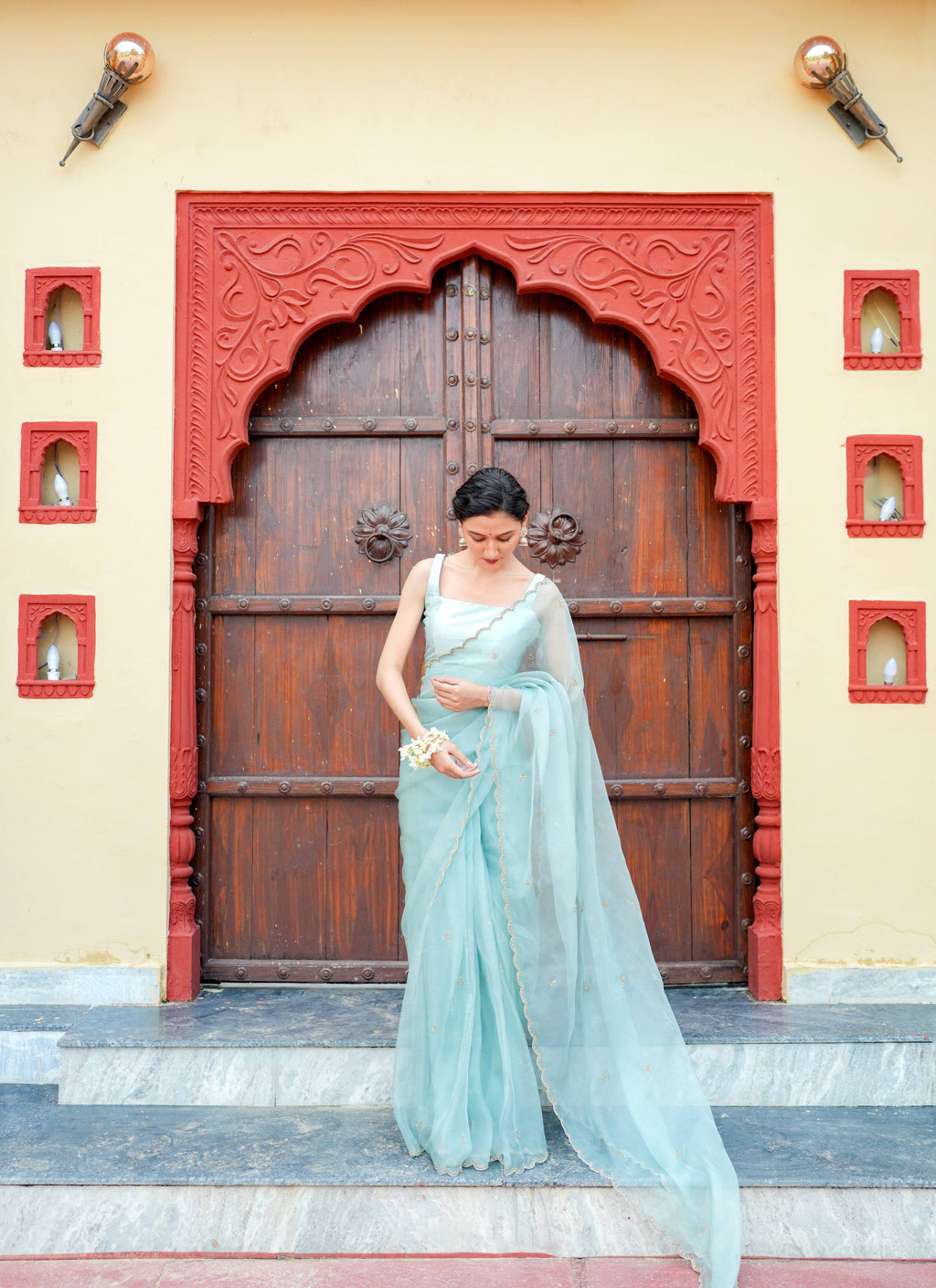 Pure orgnza saree with Dabka hand work
