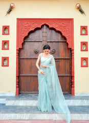 Pure orgnza saree with Dabka hand work