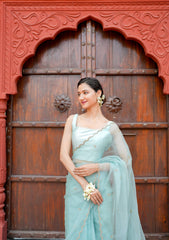 Pure orgnza saree with Dabka hand work