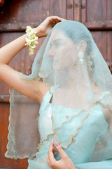 Pure orgnza saree with Dabka hand work