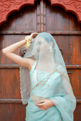 Pure orgnza saree with Dabka hand work